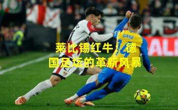 莱比锡红牛:德国足坛的革新风暴