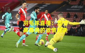 羽毛球直播：方寸屏幕间的激情对决