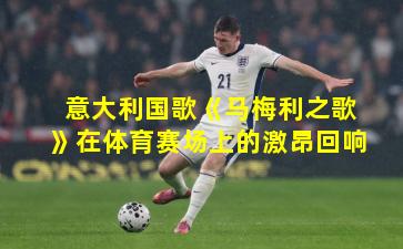 意大利国歌《马梅利之歌》在体育赛场上的激昂回响