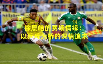 徐晨皓的赛场情缘:以乒乓为桥的深情追求